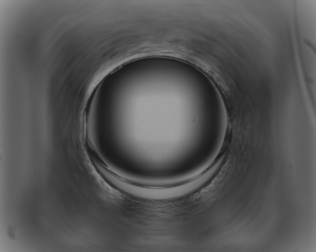 X0000093591520200710151154