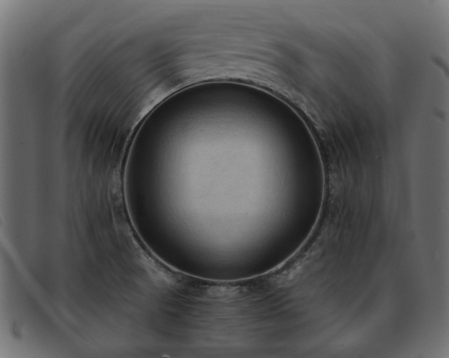 X0000093591521200710151154
