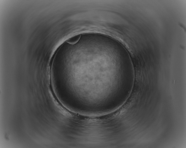 X0000093591522200710151154
