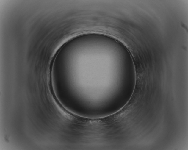 X0000093591523200710151154