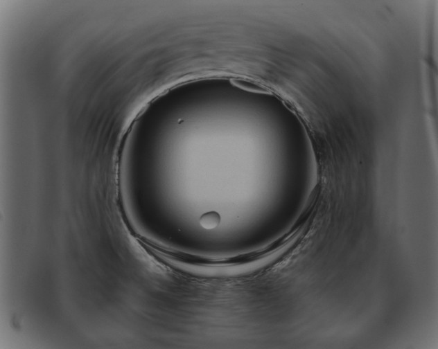 X0000093591524200710151154