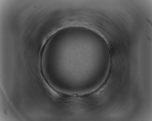 X0000093591525200710151154