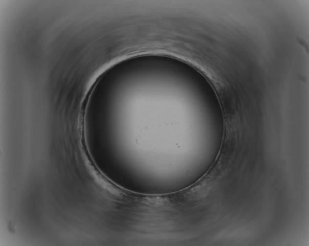 X0000093591526200710151154