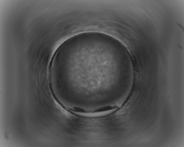X0000093591527200710151154