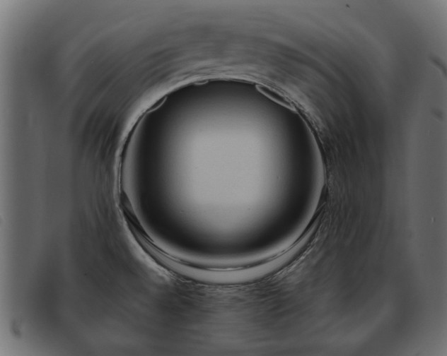 X0000093591528200710151154