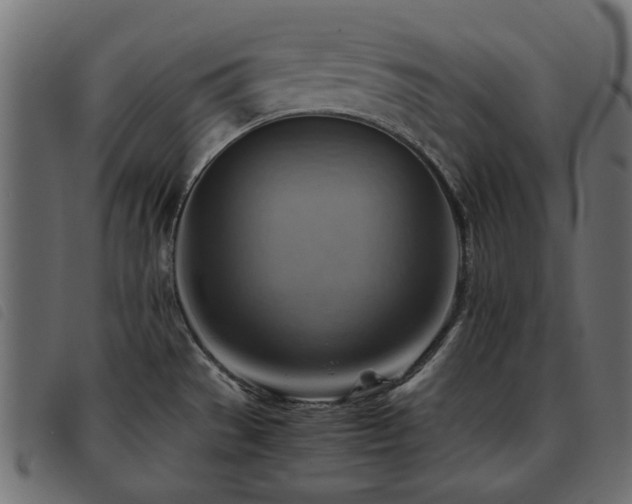 X0000093591529200710151154