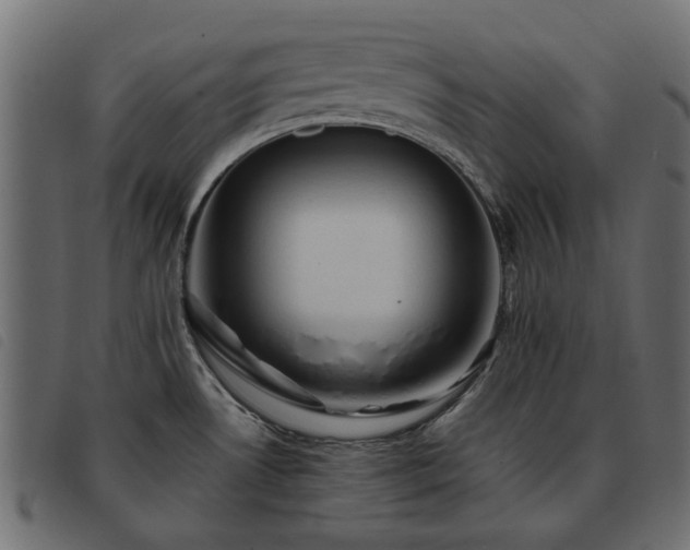 X0000093591530200710151154