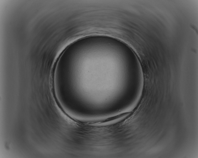 X0000093591531200710151154