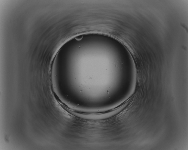 X0000093591532200710151154