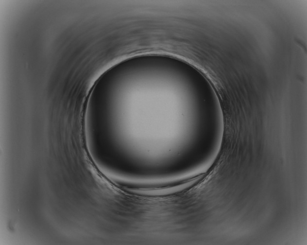 X0000093591534200710151154