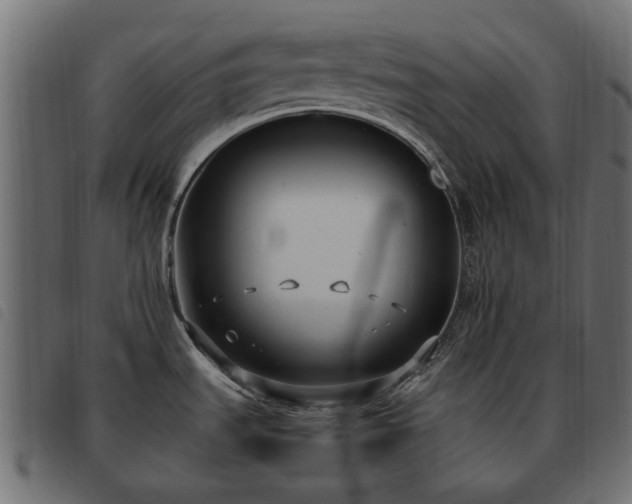 X0000093591535200710151154