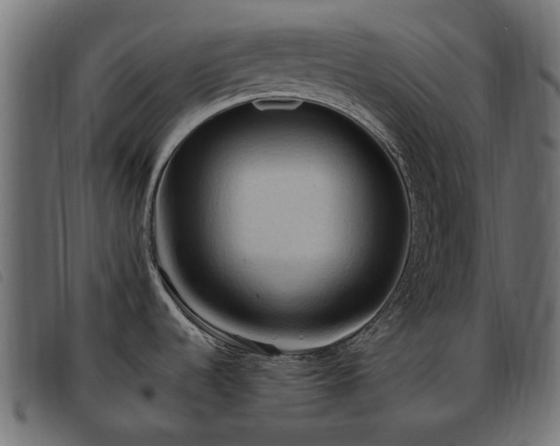 X0000093591536200710151154
