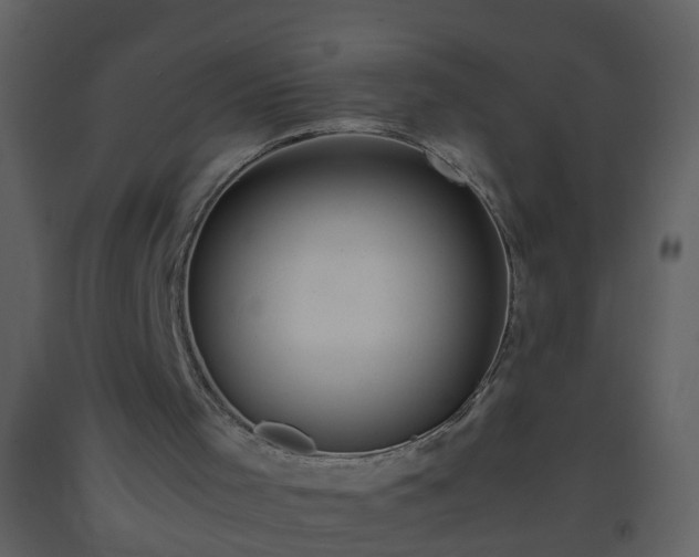 X0000093590001200710221532
