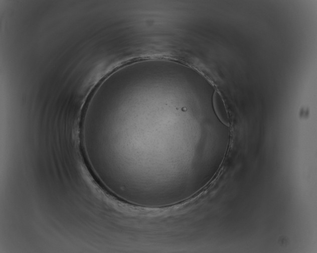 X0000093590002200710221532