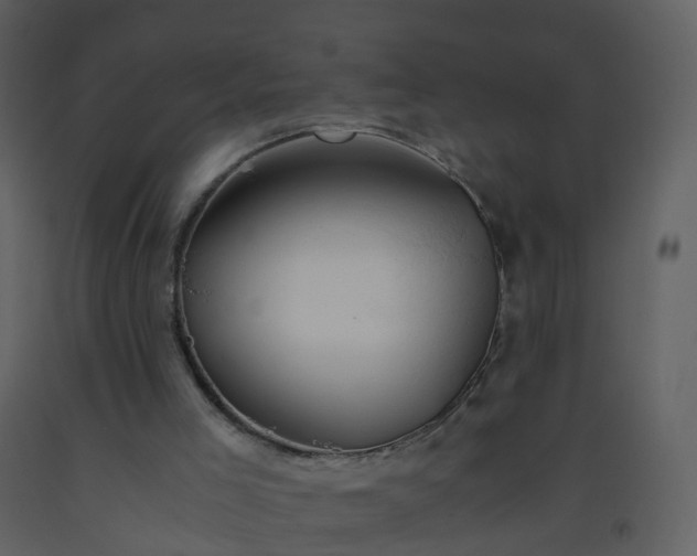 X0000093590005200710221532