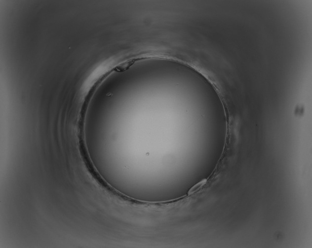 X0000093590007200710221532