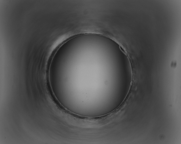 X0000093590008200710221532