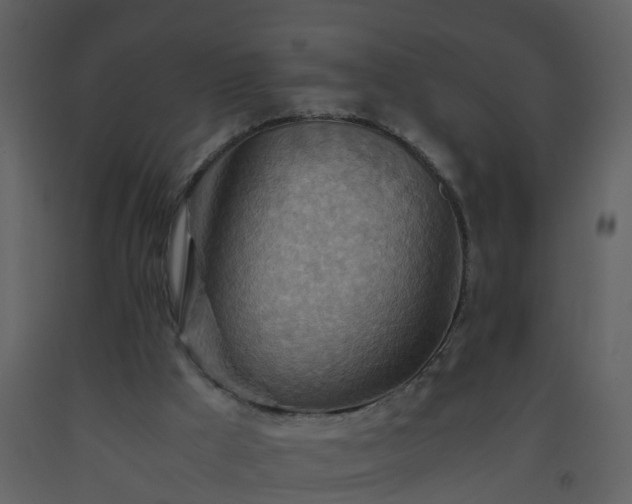 X0000093590009200710221532
