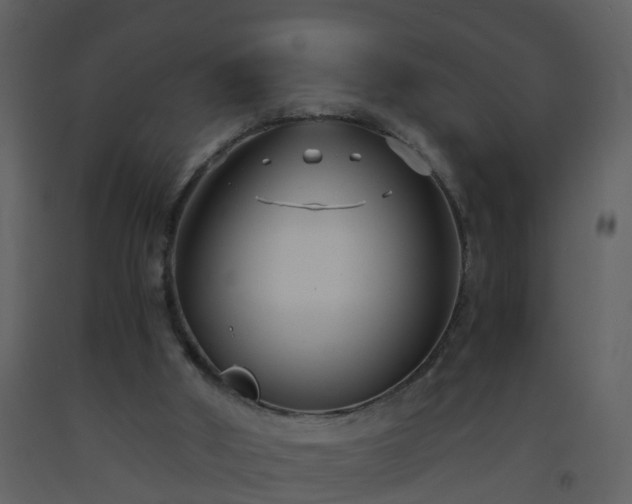 X0000093590010200710221532