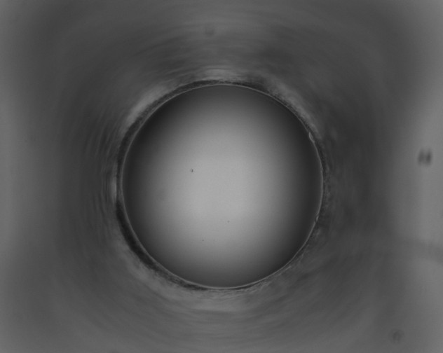 X0000093590011200710221532