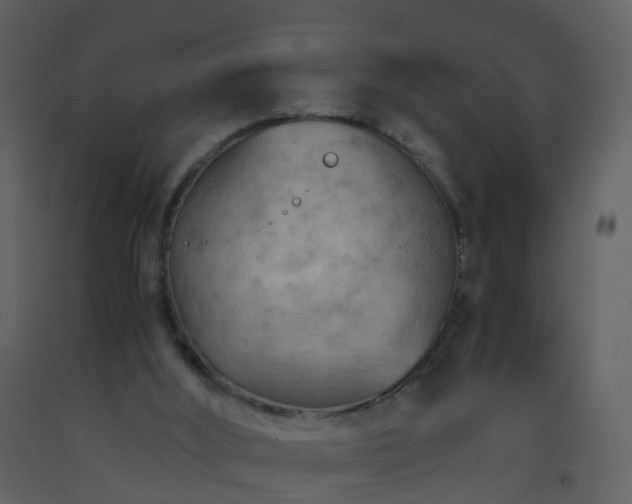 X0000093590012200710221532