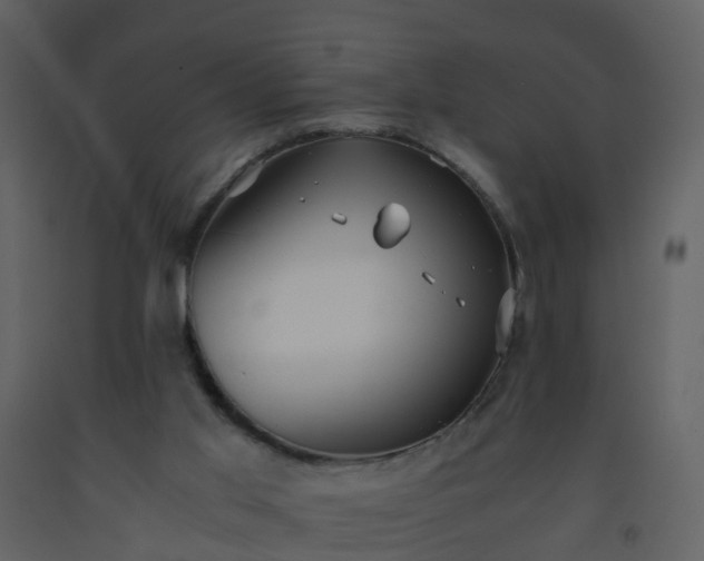 X0000093590013200710221532