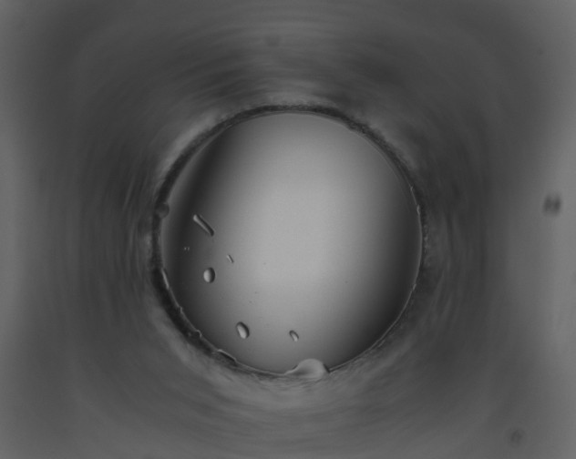 X0000093590015200710221532