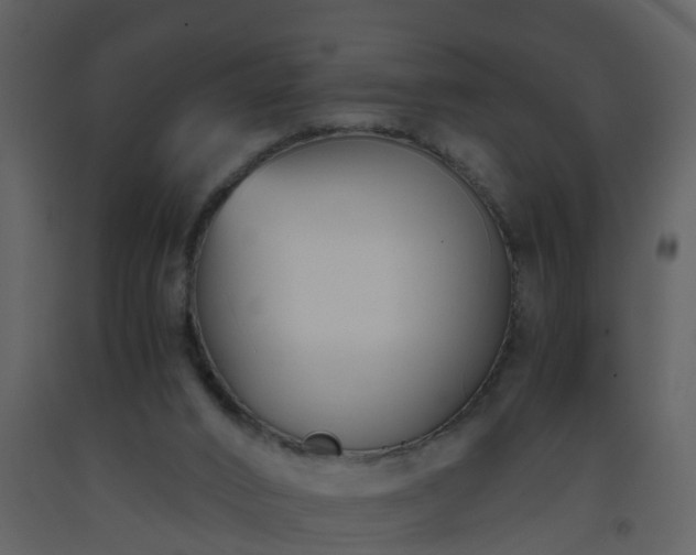 X0000093590016200710221532