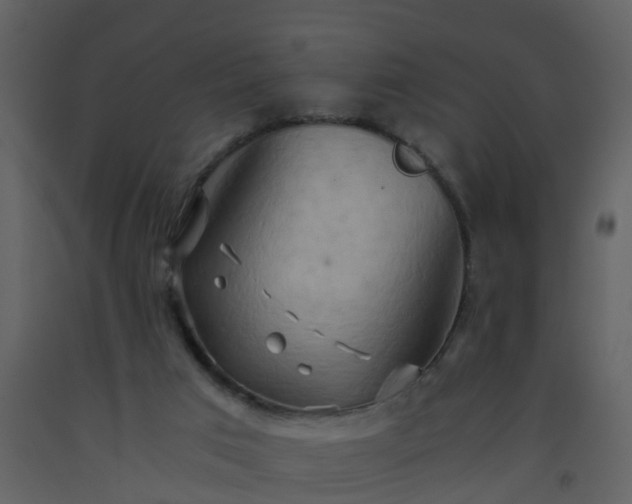 X0000093590017200710221532