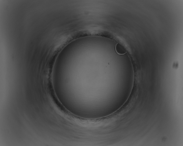 X0000093590018200710221532