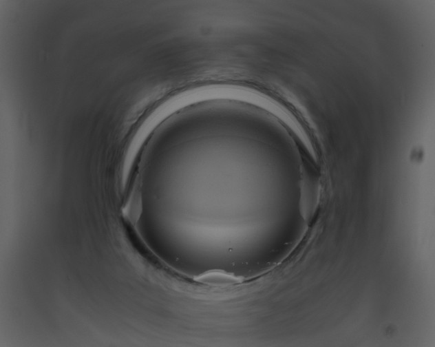 X0000093590019200710221532