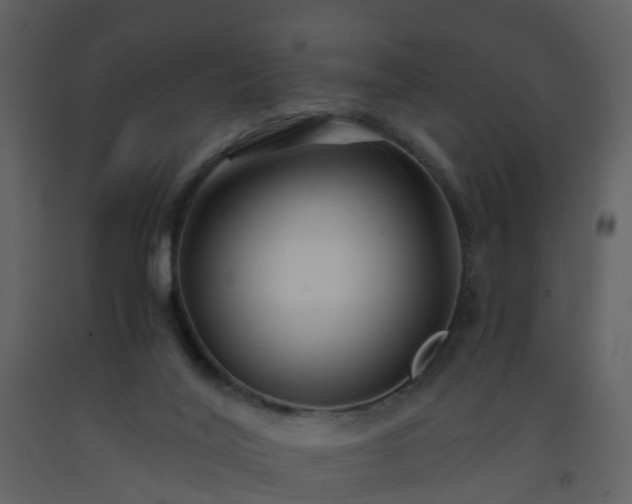 X0000093590020200710221532