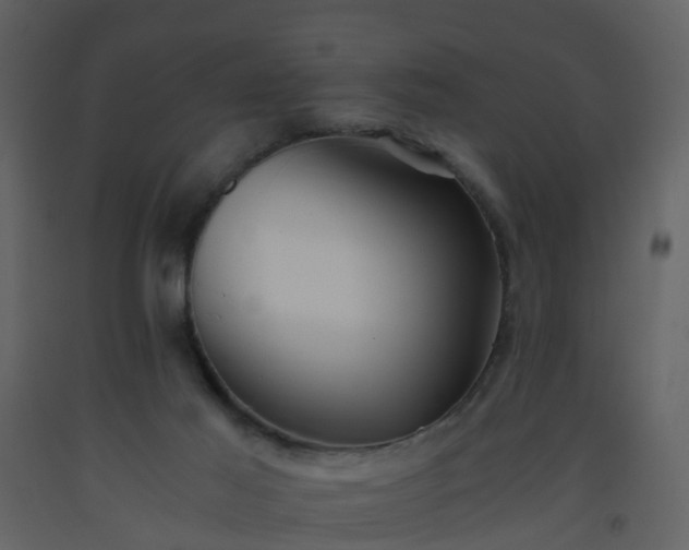 X0000093590021200710221532