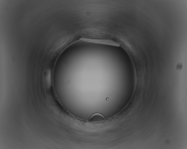 X0000093590022200710221532