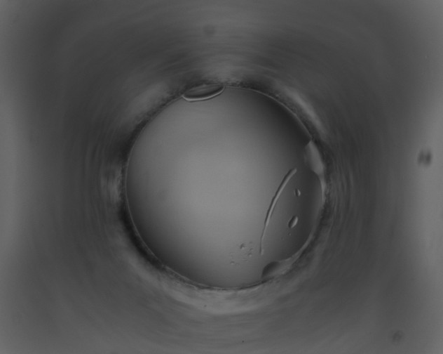 X0000093590023200710221532