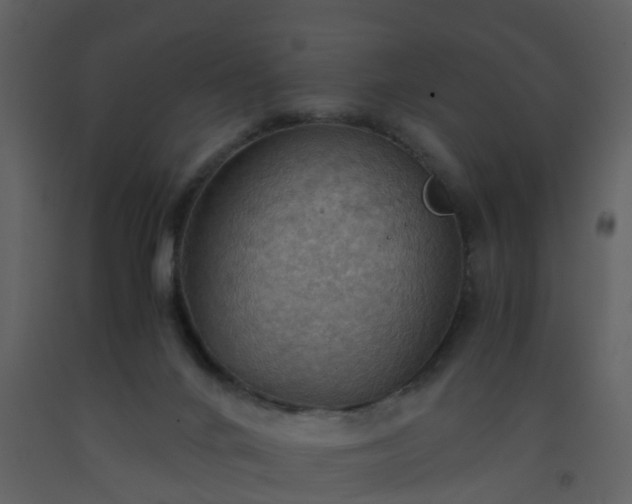 X0000093590024200710221532