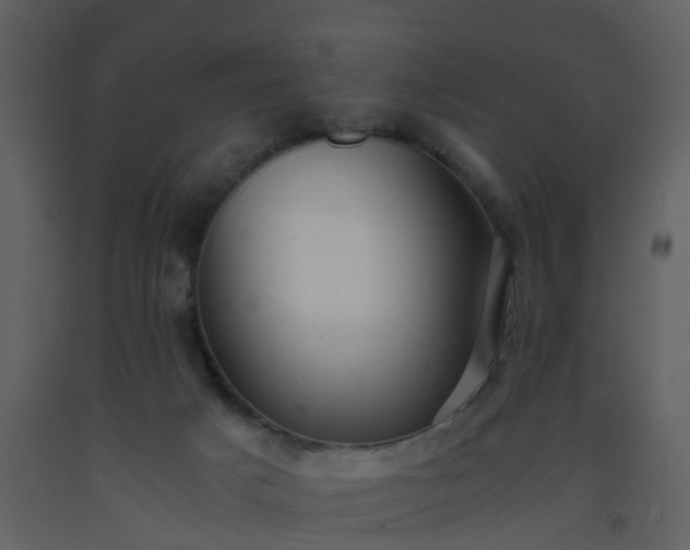 X0000093590025200710221532