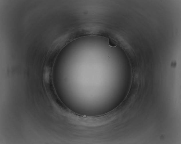 X0000093590026200710221532