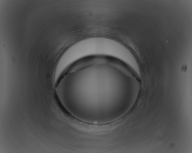 X0000093590027200710221532