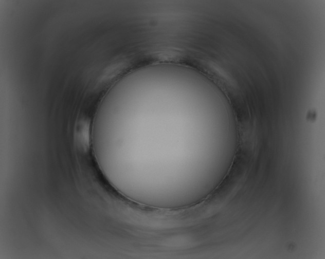 X0000093590028200710221532