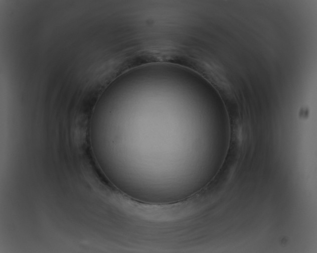 X0000093590030200710221532