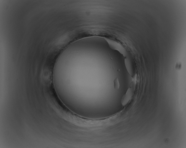X0000093590031200710221532
