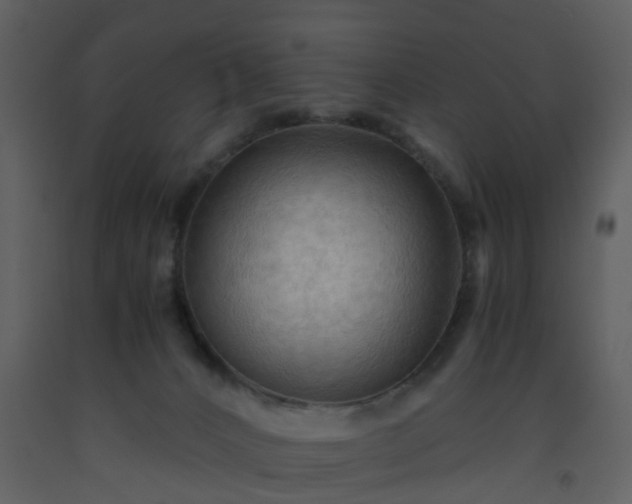 X0000093590032200710221532