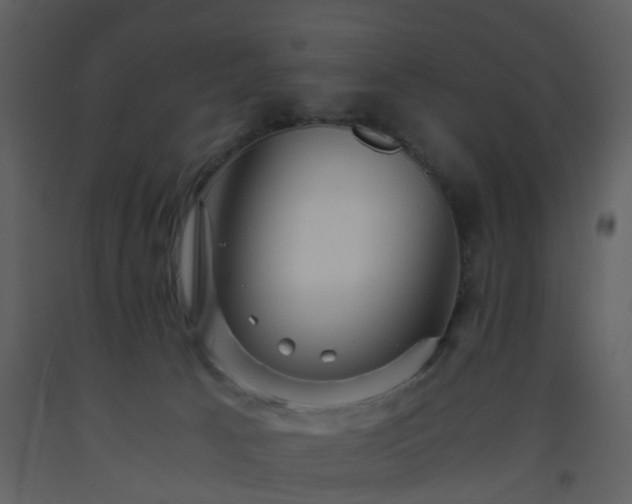 X0000093590033200710221532