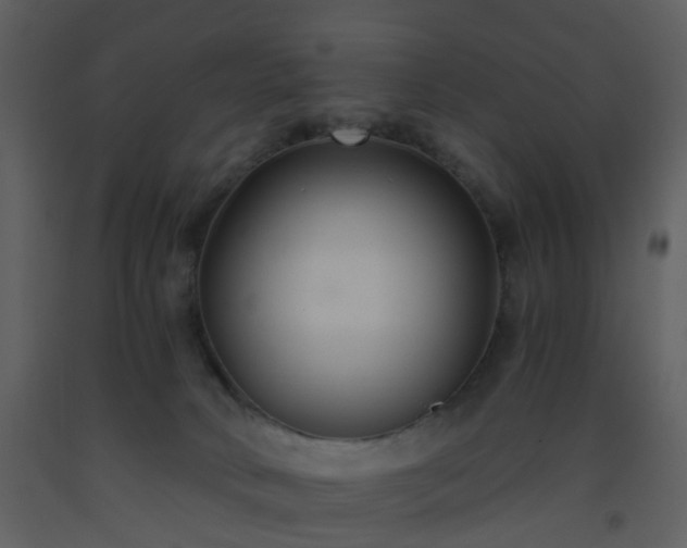X0000093590034200710221532