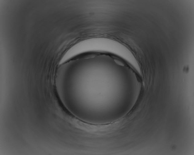X0000093590035200710221532