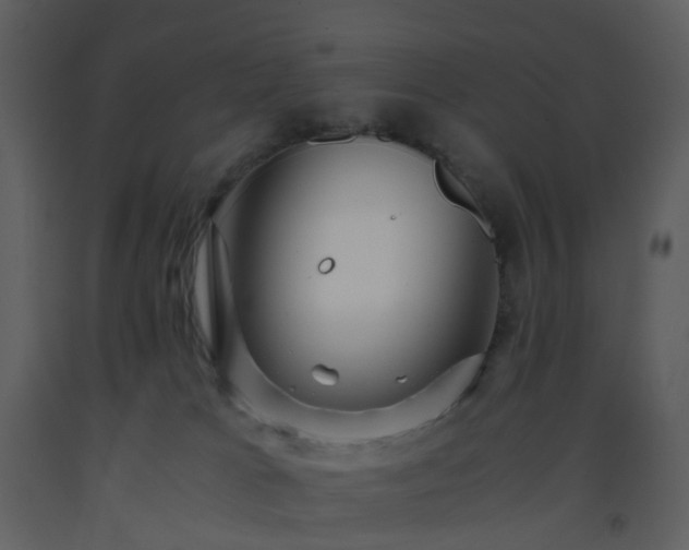 X0000093590037200710221532