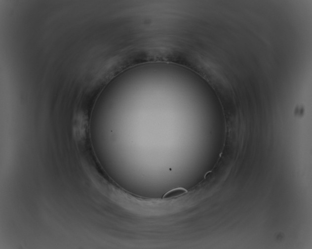 X0000093590038200710221532
