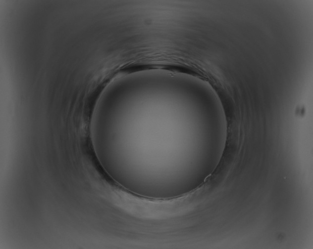 X0000093590039200710221532