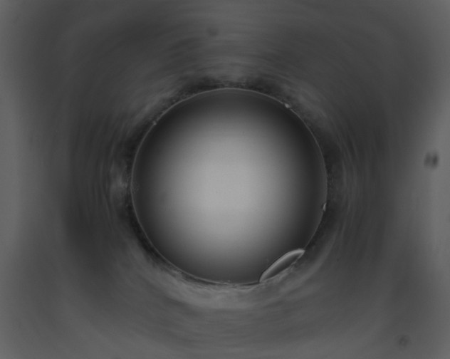 X0000093590040200710221532